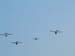 Air Rally 2004 019